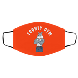 FMA Med/Lg Face Mask